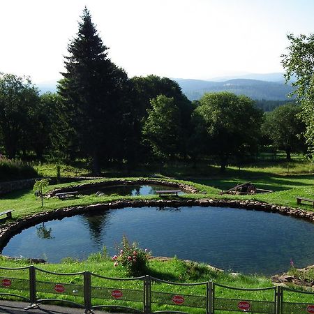 Hotel Alpska Vyhlidka Квілда Екстер'єр фото